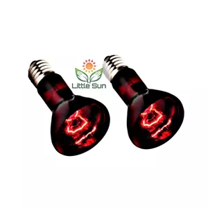 لامپ گرمایشی فیلیپس اصل پک 2 عددی مخصوص پرورش