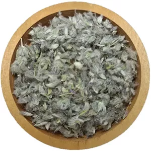 چای کوهی