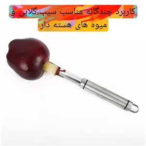 هسته گیر مدل سیب JCH