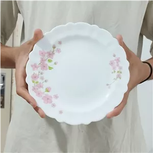 پیش دستی آرکوپال اما صورتی بسته 6 عددی ارسال رایگان