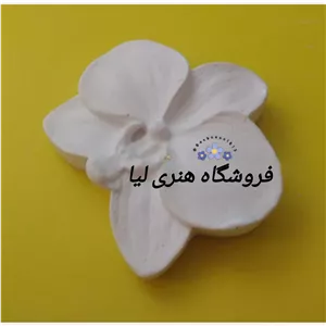 قالب گل ارکیده 