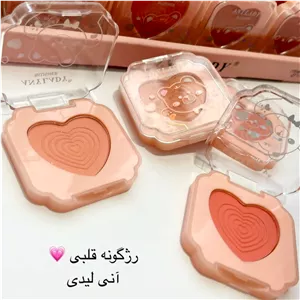 رژگونه آنی لیدی (ANYLADY)