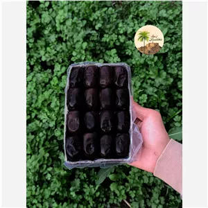 خرما مضافتی بم درجه یک