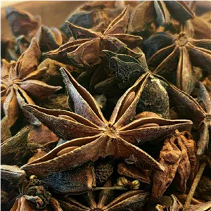 بادیان خطایی (انیسون ستاره ای - بادیون ختایی - بادیان ستاره ای) - 100 گرم