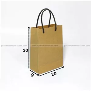 بگ کرافت دسته بندی سایز20در30در9 -عمودی- (25عددی )