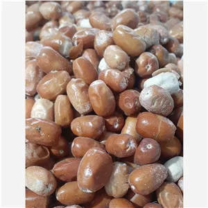 سنجد محلی اندازه متوسط 