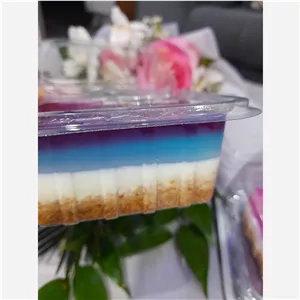  چیز کیک تک نفره 5 عددی