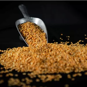 لپه اعلاء آذرشهر