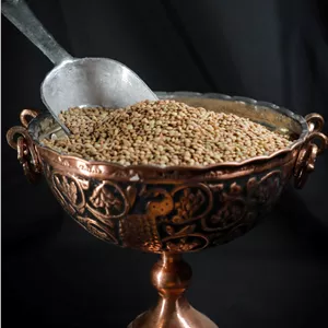 عدس ریز کانادایی برند ویکتوریا