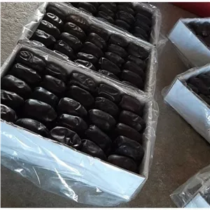 خرمای مضافتی بـم درجه یک و مرغوب