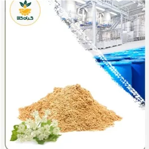 عصاره سنبل ختایی خشک (پودری) 100 گرمی با کیفیت عالی