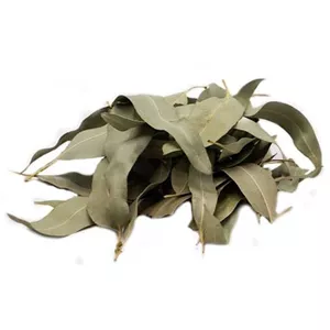 برگ اکالیپتوس 50 گرم