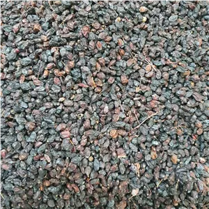 زرشک سیاه زرشک کوهی 100 گرم 