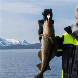 شناور  چوب پنبه ماهیگیری 7g مناسب برای سد دریاچه رودخانه لنسر چوب چرخ قلاب Fishing Float ماهیگیری 5 گرمی