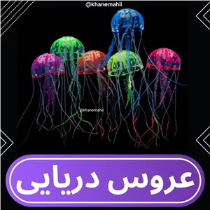 دکور آکواریوم عروس دریایی کوچک S (فلورسنت)