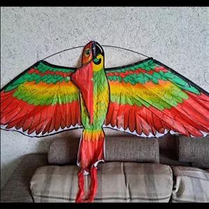 بادبادک طوطی (پس کرایه)