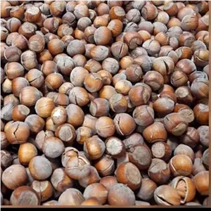 فندق خندان خام یک کیلویی درجه یک 