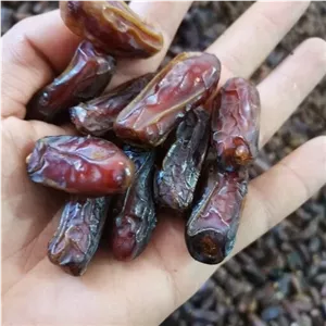 خرما آجیلی شاهانی کاملا ارگانیک 