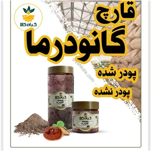  قارچ گانو درما خشک یا پودریگیاه کالا 