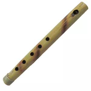 بازی آموزشی مدل فلوت کد SO-3 RWS