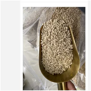 جو پوست کنده 