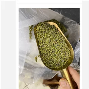 ماش درجه یک خوشپخت 