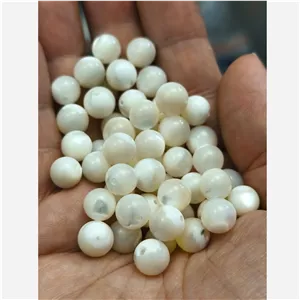سنگ صدف طبیعی آب شور سایز 8 دو طرف سوراخ دار