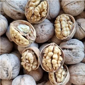 گردو کاغذی نیم کیلویی
