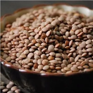 بذر عدس ارگانیک اصیل ایرانی درشت بسته 30 عددی