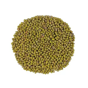 ماش درجه 1 - 1000 گرم RZT