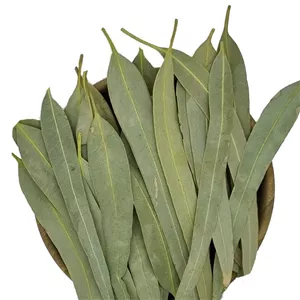 برگ اکالیپتوس - 50 گرم RZT