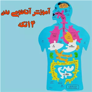 بازی آموزشی آسیا مدل آناتومی بدن HEV