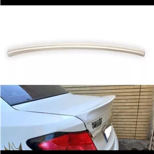 بال صندوق عقب ساینا، TGS