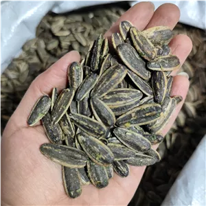 تخمه پیازجعفری طعمدار لوکس (یک کیلو) آفتابگردان دورسفید رنچ طعم دار پیاز و جعفری