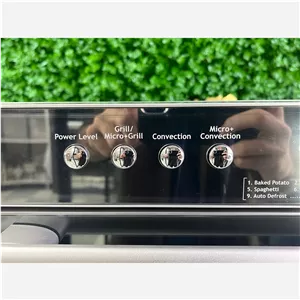 مایکروویو دیجیتالی دلمونتی مدل DL530