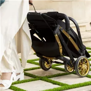کالسکه مسافرتی ریچ کیدز Pro baby star 5 رنگ مشکی بدنه گلد