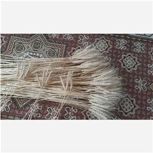 شاخه گندم