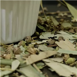 اکالیپتوس خشک درجه یک 50 گرمی ترنج