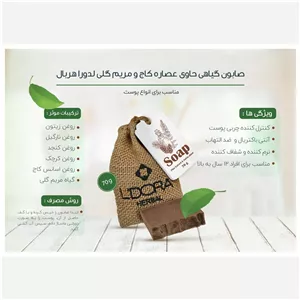  پن تخصصی گیاهی مریم گلی و کاج صابون ضد جوش لد ورا
