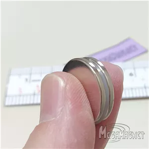 آهن ربا مگامگنت کد Mega.Nd.D20x2 بسته 4 عددی