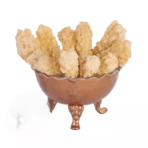 نبات دمنوش زنجبیل 