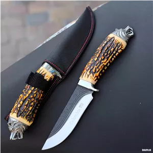 چاقوشکاری کله‌گرگ کلمبیا
