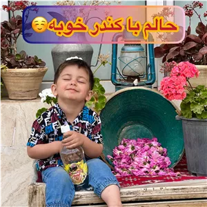عرق کندر سنتی و ممتاز کعبه افزایش بهره هوشی و حافظه ( IQ)