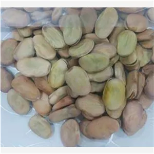 باقلا سبز خشک . سالم و تضمینی . بیست  کیلویی 