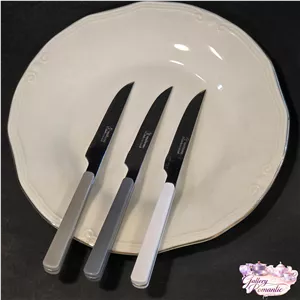 کارد تک یونی هوم تیغه یکسره بسته 12 پارچه رنگبندی(پس کرایه)