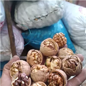گردو تویسرکان اقتصادی