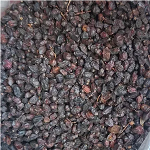 زرشک کوهی (نیم کیلو)