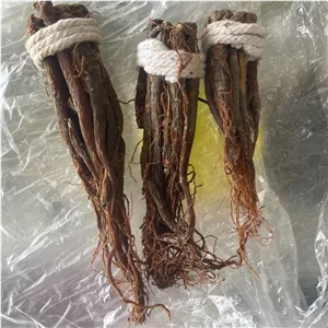 ریشه جنسینگ (جینسینگ)قرمز دختر پیچ کره ای اصل (عددی)