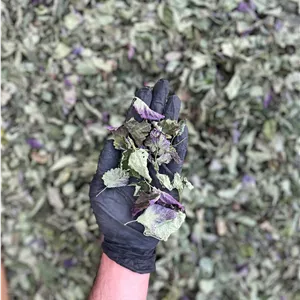 بادرنجبویه (ملیس) گیاه درمانی شفا