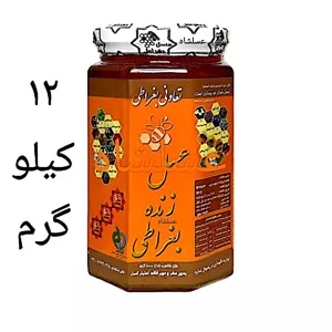 عسل طبیعی زنده کوهی 3 ستاره - 12 کیلو ( فروش شگفت انگیز ) (پس کرایه) ( بغراطی دکتر روازاده )